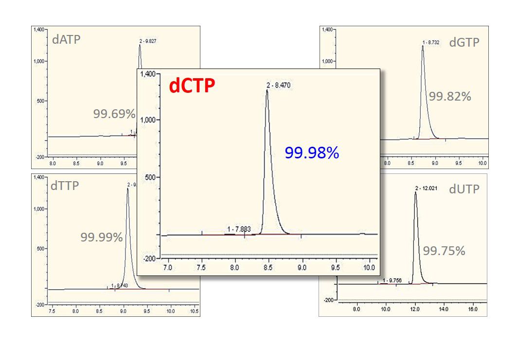 Odoo - Sample 1 for three columns