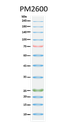 ExcelBand™ 3-color High Range Protein Marker, 250 μl x 2