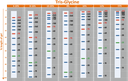 ExcelBand™ 3-color Extra Range Protein Marker, 250 μl x 2