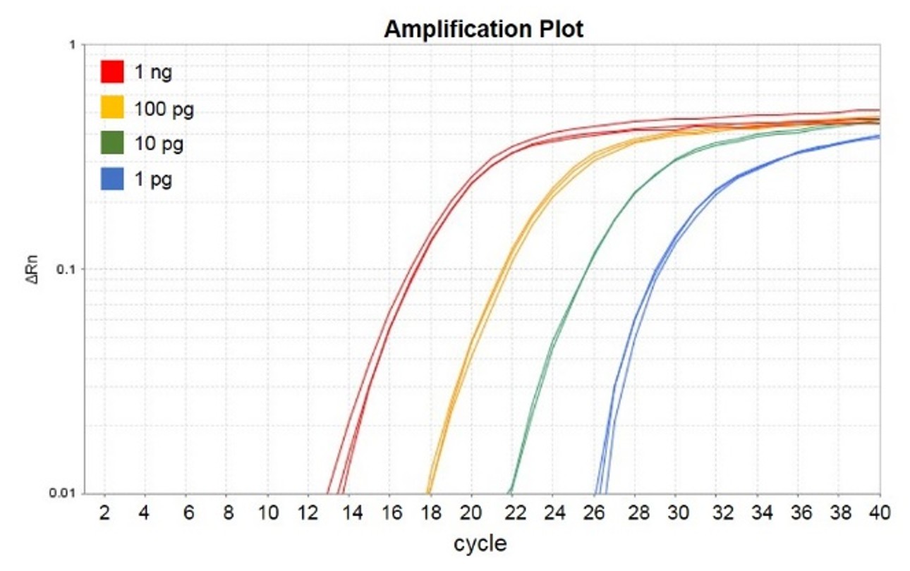 [RP2100] ExcelRT™ 2X One-Step RT-qPCR Kit (TaqMan, ROX), 200 Rxn