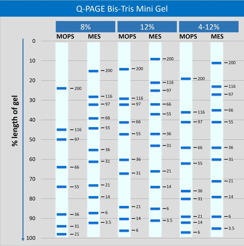 miniBT migration pattern