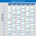 [QP2320] Q-PAGE™ Bis-Tris Precast Gel (Mini, 15 wells, 12%), 10 gels