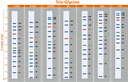 [PM5000] ExcelBand™ 3-color Pre-stained Protein Ladder, Regular Range (9-180 kDa), 250 μl x 2