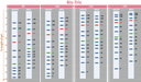 [PM5000] ExcelBand™ 3-color Pre-stained Protein Ladder, Regular Range (9-180 kDa), 250 μl x 2