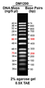 AccuBand™ 50 bp DNA Ladder II, 500 μl