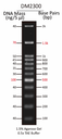 ExcelBand™ 100 bp+3K DNA Ladder, 500 μl