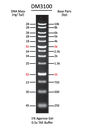ExcelBand™ 1KB (0.25-10 kb) DNA Ladder, 500 μl