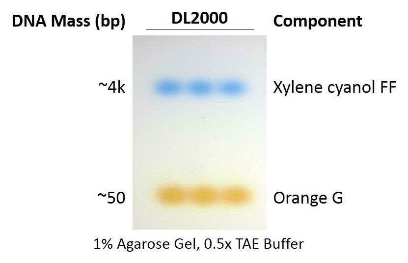 ExcelDye™ 6X DNA Loading Dye, Green, 5 ml x 2