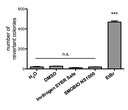 FluoroVue™ Nucleic Acid Gel Stain (10,000X), 500 μl