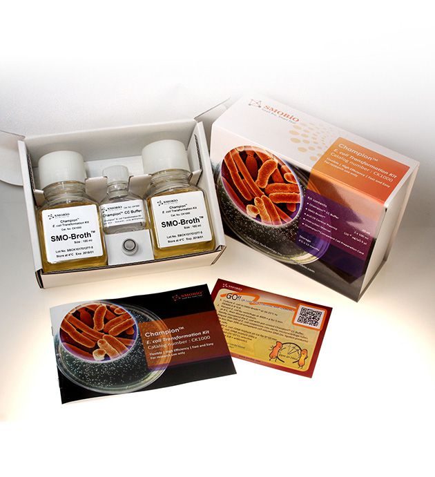 [CK1000] [CK1000] Champion™高效率大腸桿菌轉化試劑盒, 200 RXN