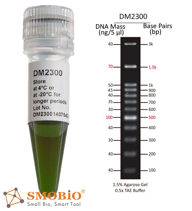 [DM2300] [DM2300] ExcelBand™ 100 bp + 3K DNA分子量標記, 500 μl