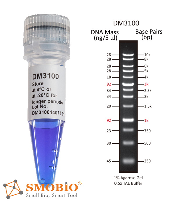[DM3100] [DM3100] ExcelBand™ 1KB (0.25-10 kb) DNA分子量標記, 500 μl