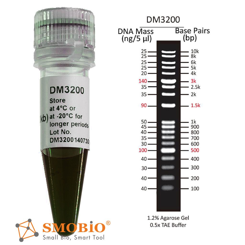 [DM3200] [DM3200] ExcelBand™ 1KB (0.1-10 kb)加強型DNA分子量標記, 500 μl