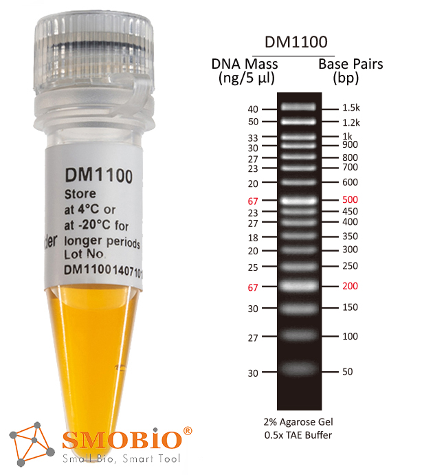 [DM1100] [DM1100] ExcelBand™ 50 bp DNA分子量標記, 500 μl