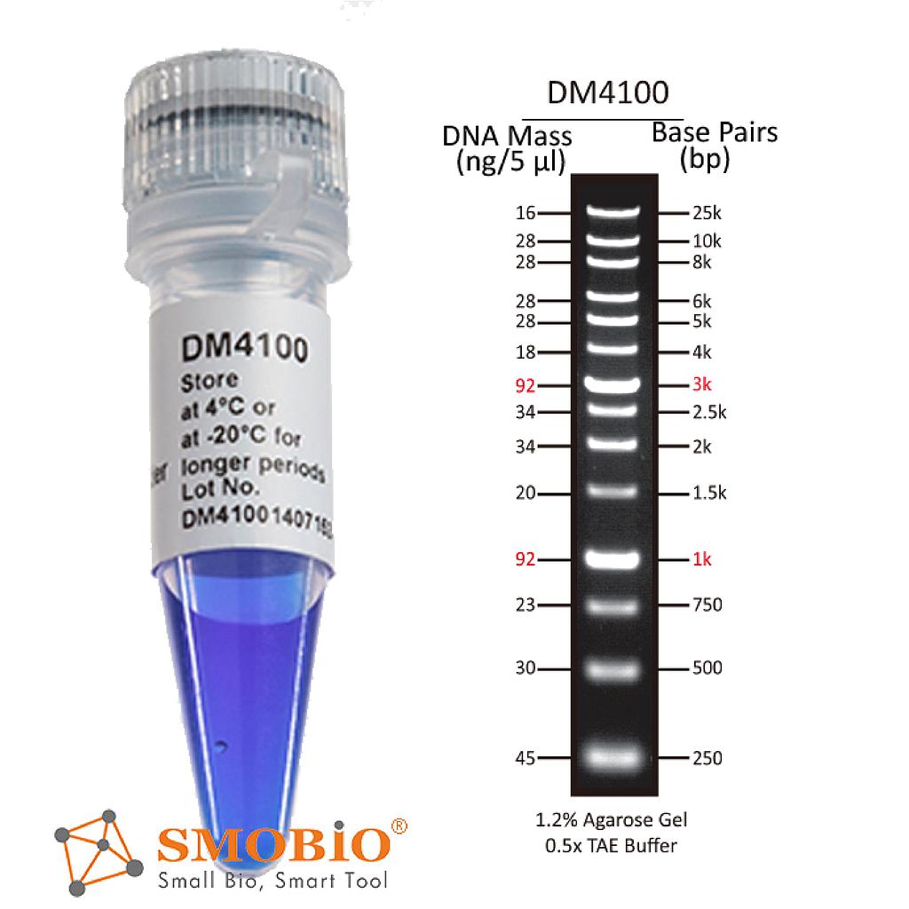 [DM4100] [DM4100] ExcelBand™ XL 25 kb廣範圍DNA分子量標記, 500 μl