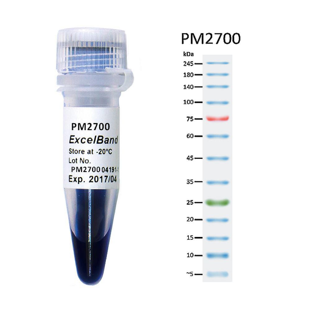 [PM2700] [PM2700] ExcelBand™三彩蛋白質廣分子量標記, 250 μl x 2