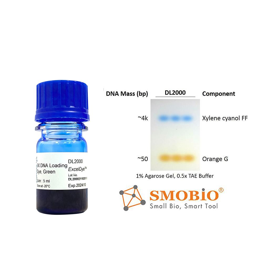 [DL2000] [DL2000] ExcelDye™六倍DNA即用型綠色上樣指示緩衝液, 5 ml x 2