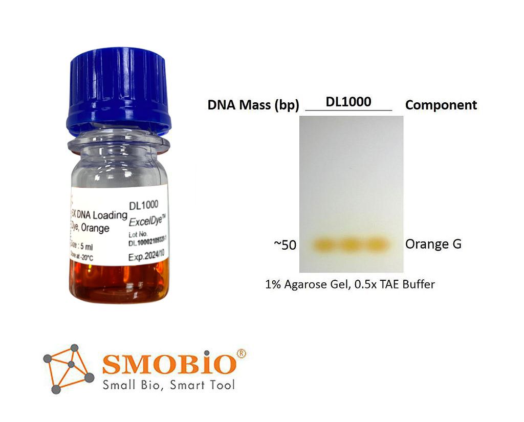 [DL1000] [DL1000] ExcelDye™六倍DNA即用型橘色上樣指示緩衝液, 5 ml x 2