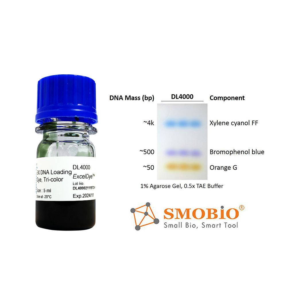 [DL4000] [DL4000] ExcelDye™六倍DNA即用型三彩上樣指示染劑, 5 ml x 2