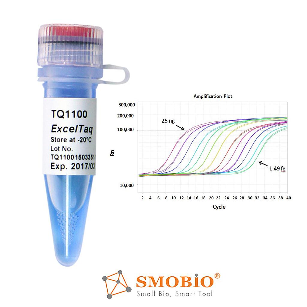 [TQ1100] [TQ1100] ExcelTaq™ 2倍高特異性染劑定量PCR檢測試劑盒(無參比染料) , 200 RXN