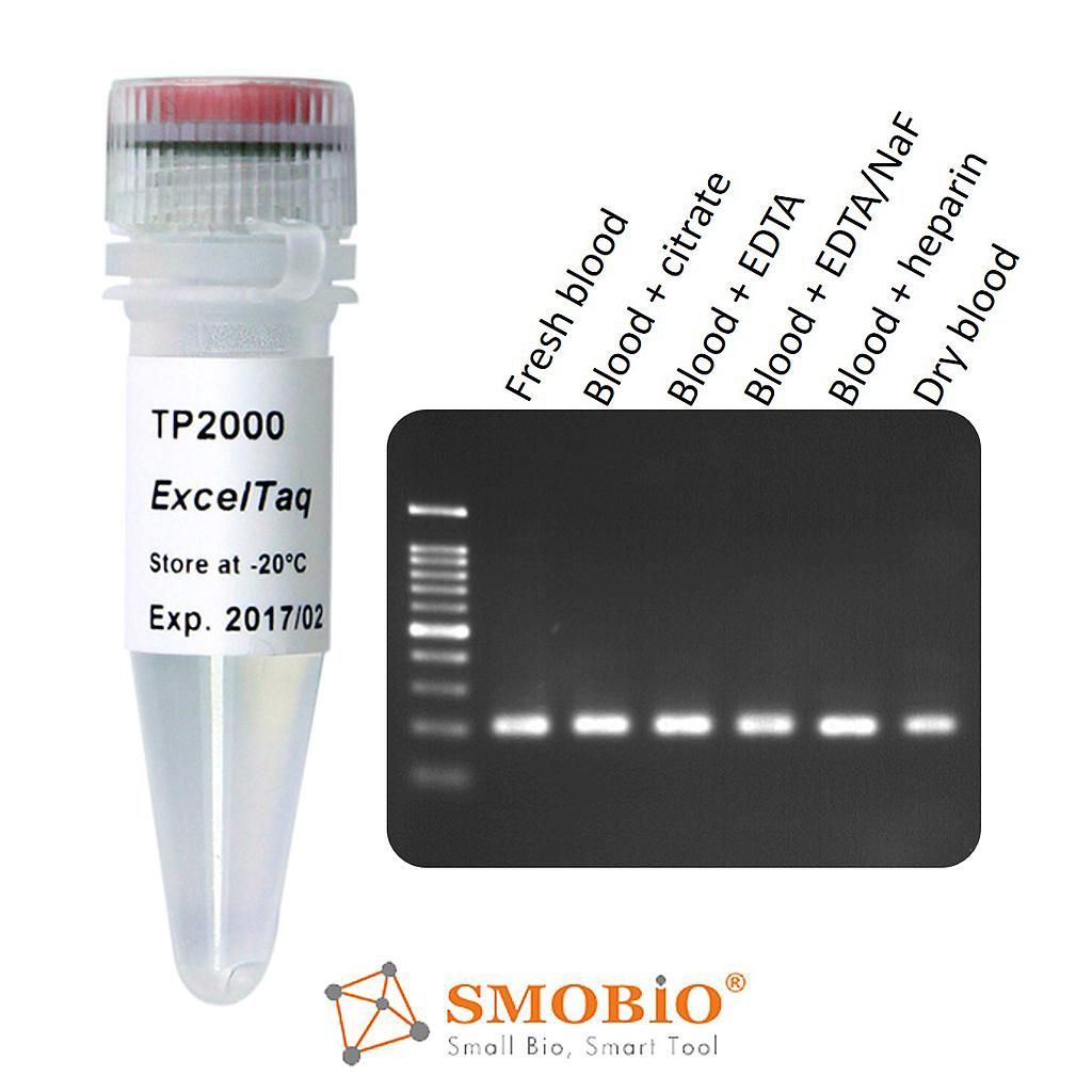 [TP2000] [TP2000] ExcelTaq™全血專用DNA聚合酶, 5 U/μl, 500 U