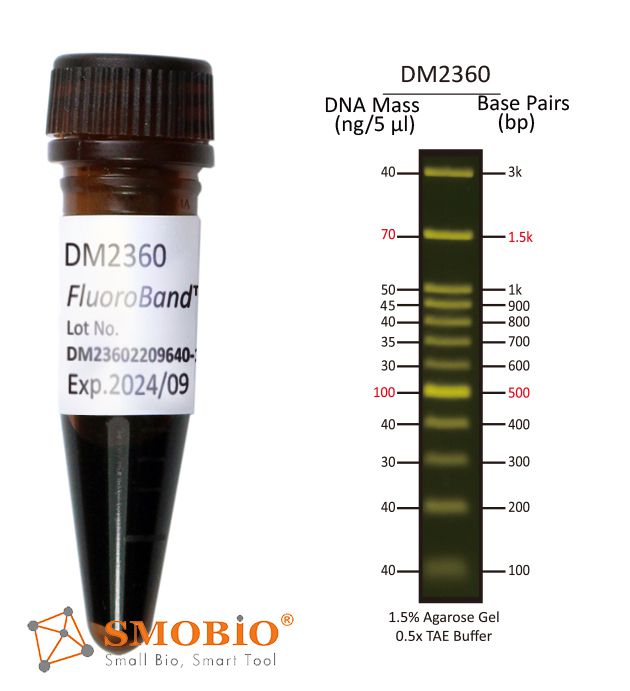 [DM2360] [DM2360] FluoroBand™ 100 bp+3K預染螢光DNA分子量標記, 500 μl