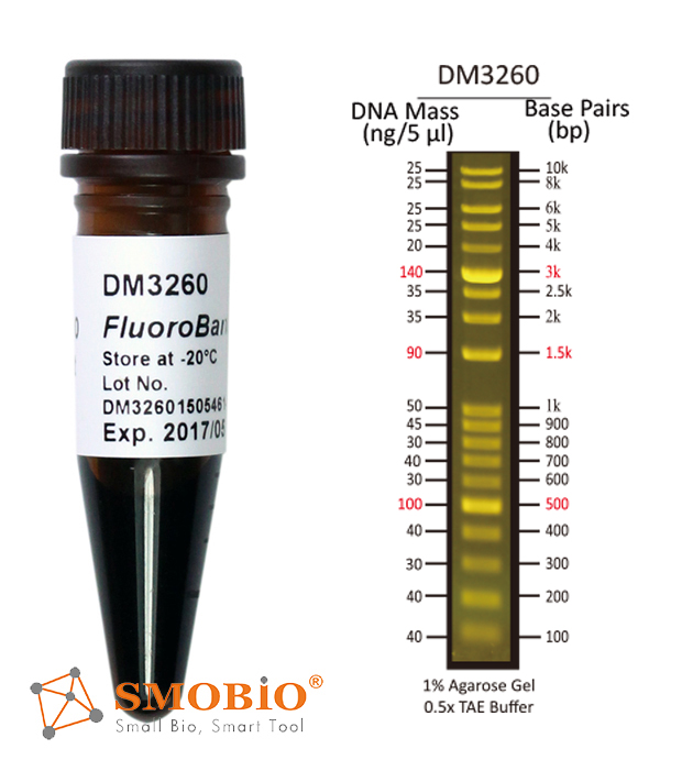 [DM3260] [DM3260] FluoroBand™ 1KB加強型(0.1-10 kb)預染螢光DNA分子量標記, 500 μl