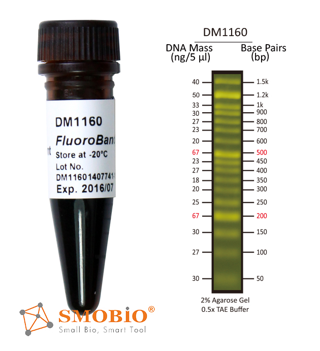 [DM1160] [DM1160] FluoroBand™ 50 bp預染螢光DNA分子量標記, 500 μl