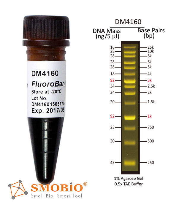 [DM4160] [DM4160] FluoroBand™ XL 25kb廣範圍預染螢光DNA分子量標記, 500 μl