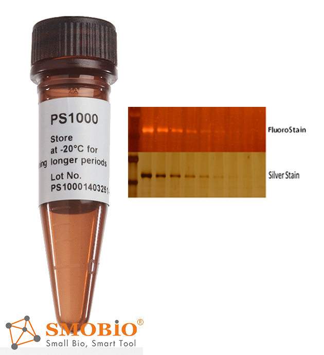 [PS1000] [PS1000] FluoroStain™ SDS-PAGE蛋白質專用紅色螢光染劑, 1 ml