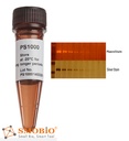 [PS1000] FluoroStain™ SDS-PAGE蛋白質專用紅色螢光染劑, 1 ml