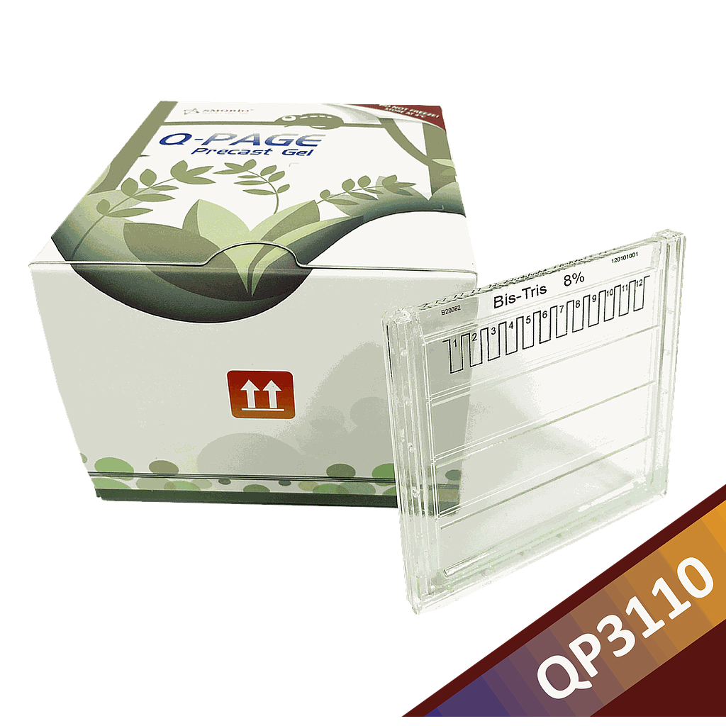 [QP3110] [QP3110] Q-PAGE™ Bis-Tris預鑄膠(中型, 12孔, 8%), 10片