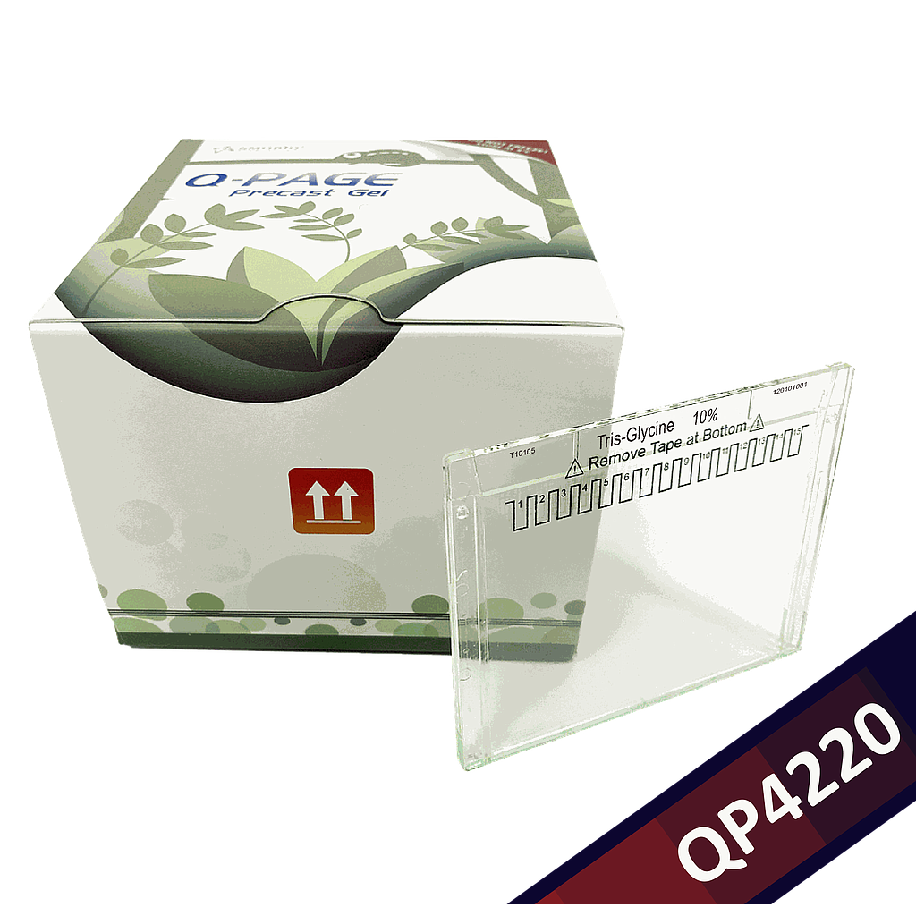 [QP4220] [QP4220] Q-PAGE™ TGN預鑄膠(小型, 15孔, 10%), 10片
