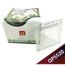 [QP5520] Q-PAGE™ TGN預鑄膠(中型, 15孔, 4-15%), 10片