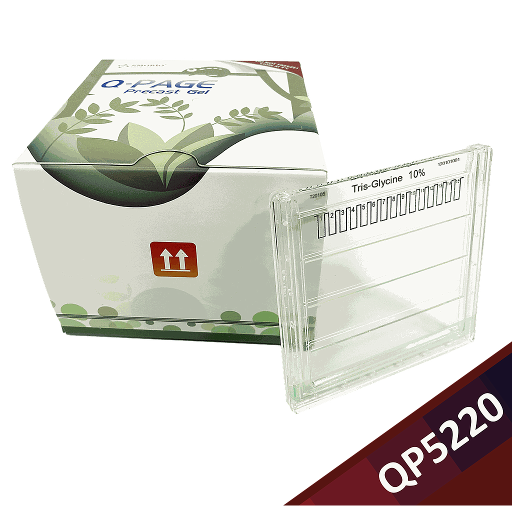 [QP5220] [QP5220] Q-PAGE™ TGN預鑄膠(中型, 15孔, 10%), 10片