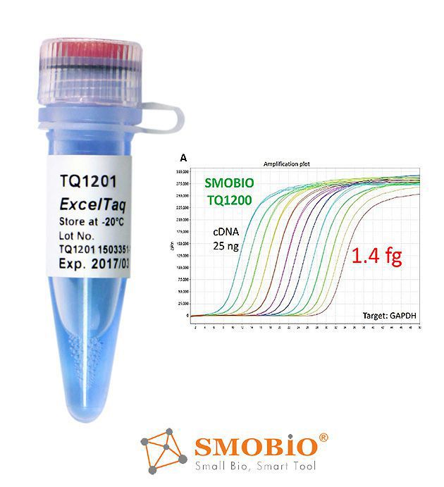 [TQ1201] ExcelTaq™ 2倍高特異性染劑快速定量PCR檢測試劑盒(無參比染料) , 500 RXN
