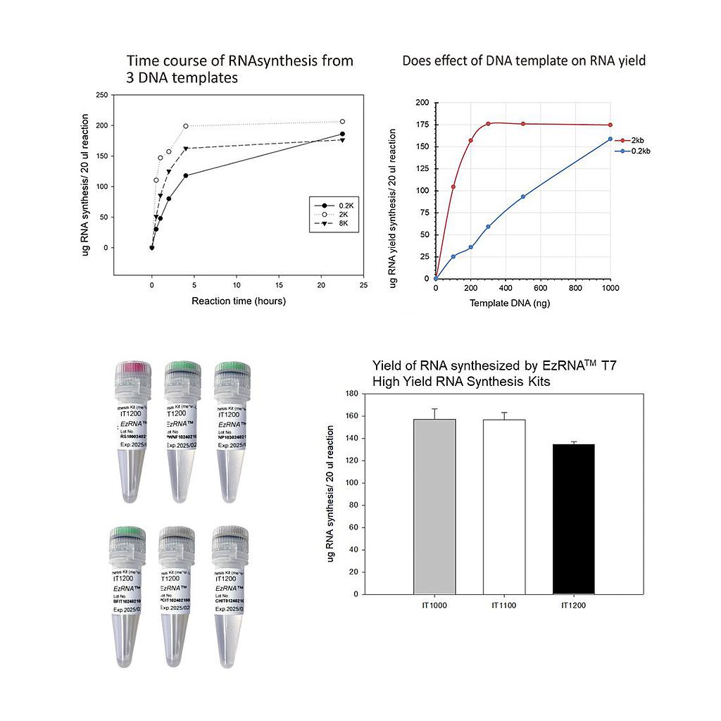 [IT1200] [IT1200] EzRNA™ T7 高產量RNA合成試劑盒(me1Ψ-UTP),50 RXN