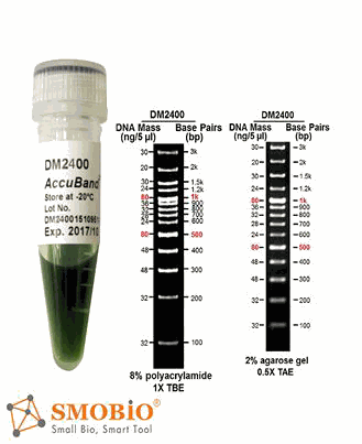 [DM2400] AccuBand™ 100 bp + 3K DNA分子量標記Ⅱ, 500 μl