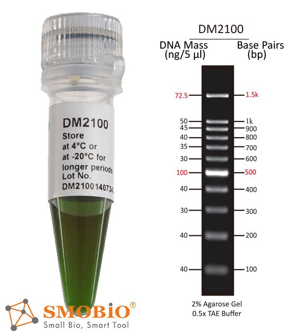 [DM2100] ExcelBand™ 100 bp DNA分子量標記, 500 μl