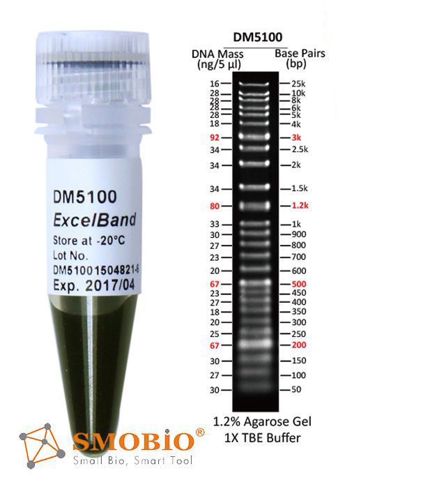[DM5100] ExcelBand™ (50 bp-25 kb)超範圍 DNA分子量標記, 500 μl