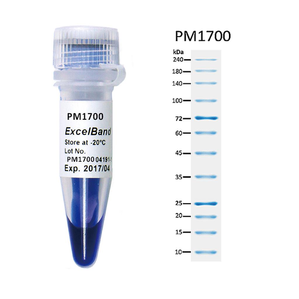 [PM1700] ExcelBand™湛藍蛋白質廣分子量標記, 250 μl x 2