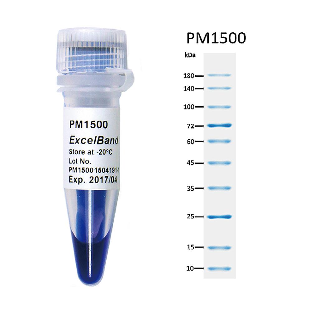 [PM1500] ExcelBand™湛藍蛋白質常規分子量標記, 250 μl x 2