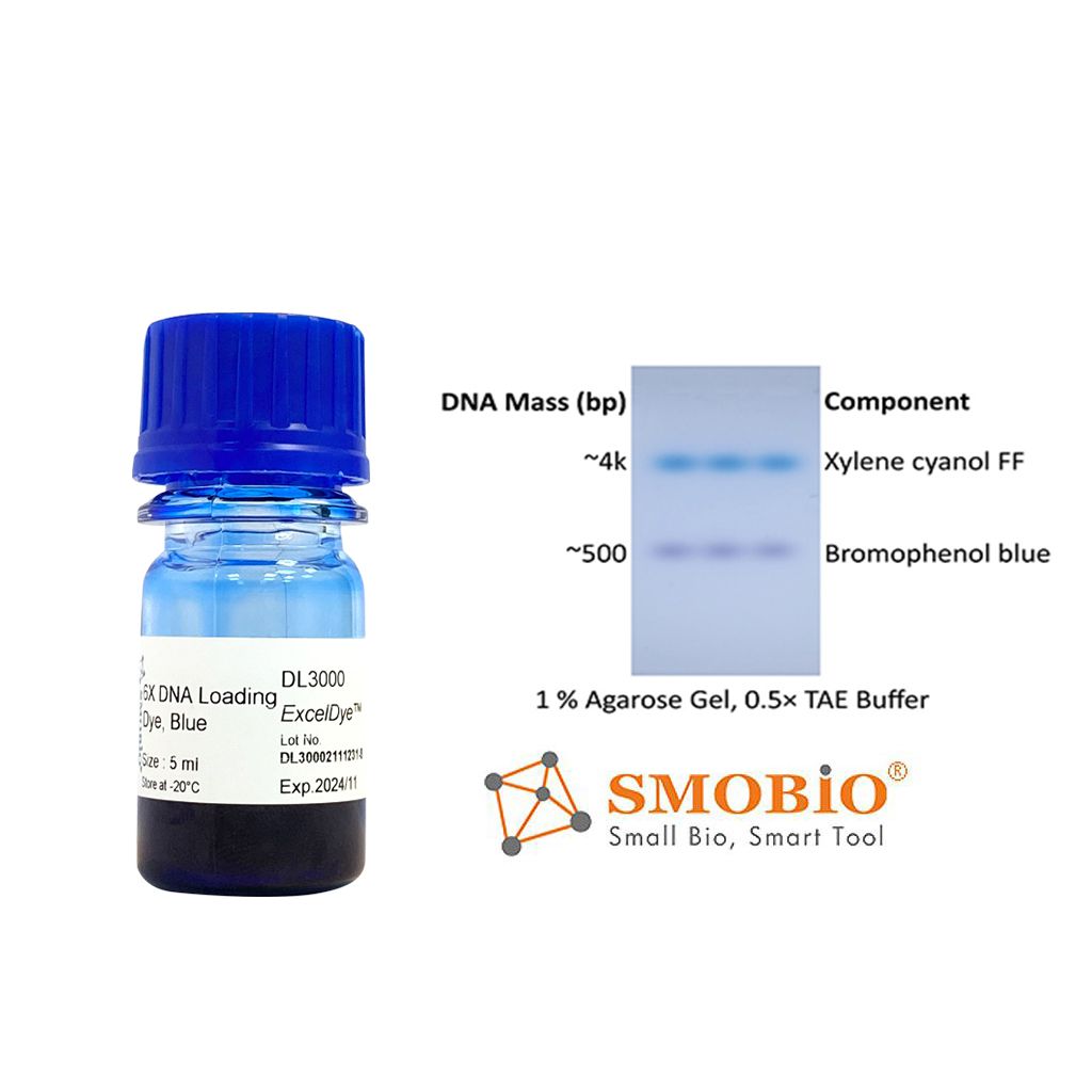 [DL3000] ExcelDye™六倍DNA即用型藍色上樣指示緩衝液, 5 ml x 2