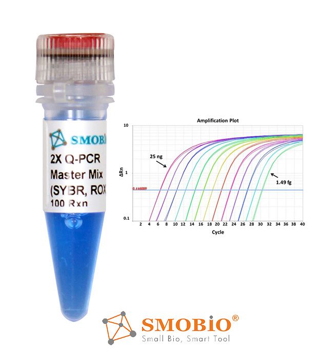 [TQ1110] ExcelTaq™ 2倍高特異性染劑定量PCR檢測試劑盒(含參比染料) , 200 RXN