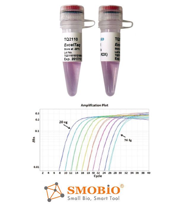 [TQ2110] ExcelTaq™ 2倍高靈敏探針快速定量PCR檢測試劑盒(含參比染料) , 200 RXN