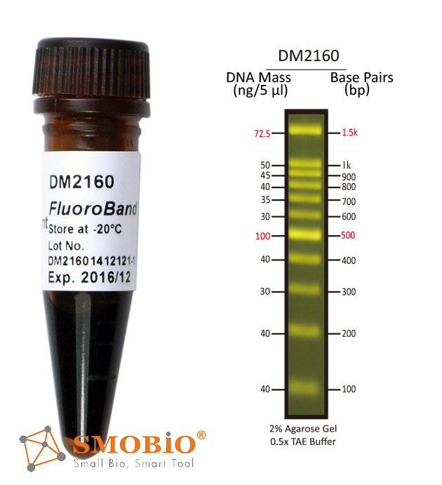[DM2160] FluoroBand™ 100 bp預染螢光DNA分子量標記, 500 μl