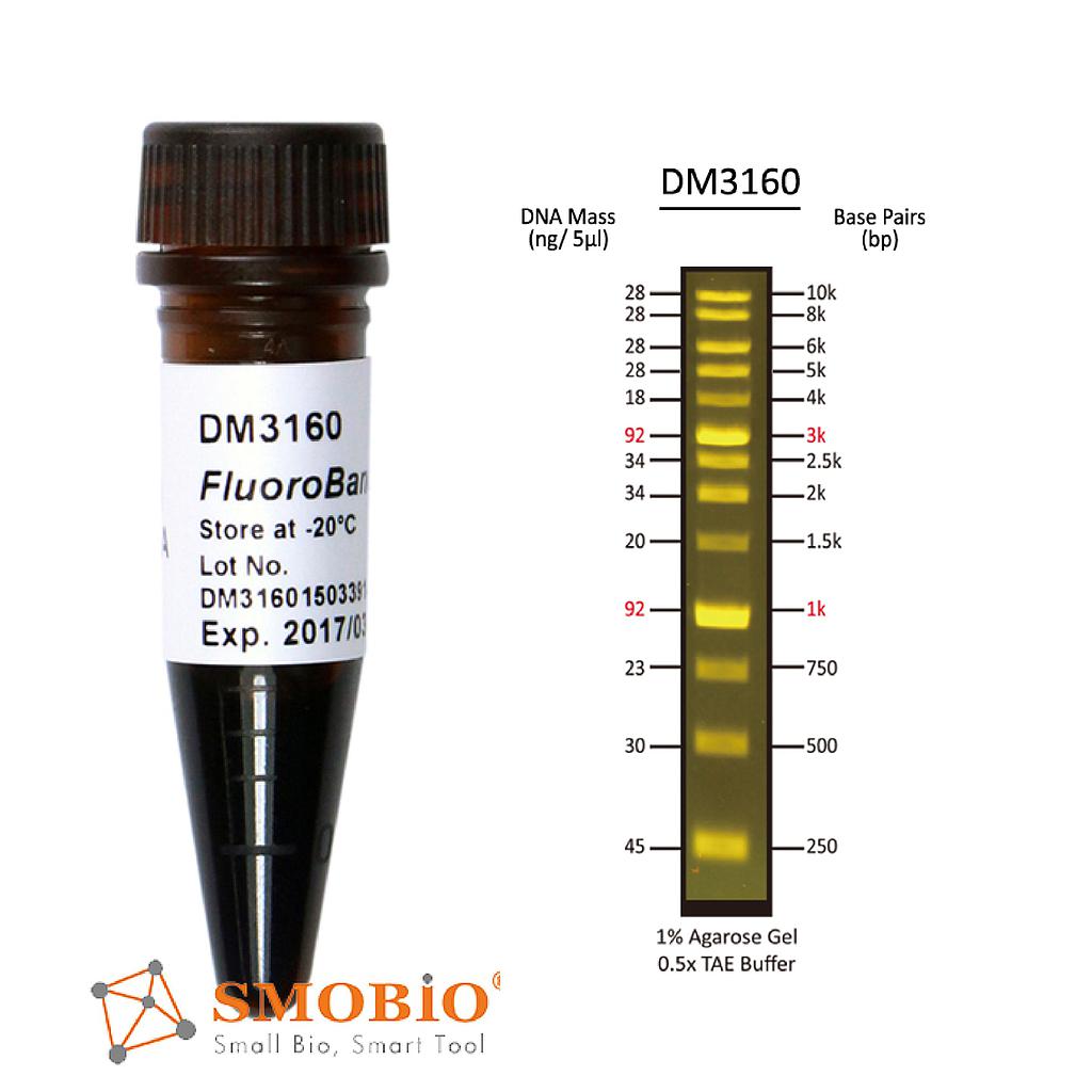 [DM3160] FluoroBand™ 1KB (0.25-10 kb)預染螢光DNA分子量標記, 500 μl