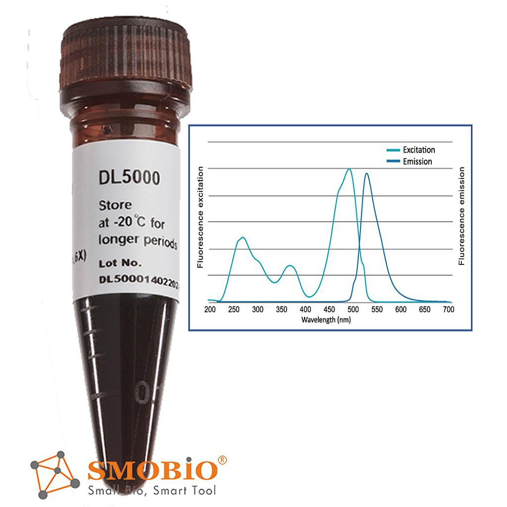 [DL5000] FluoroDye™藍光/紫外光雙用6倍螢光DNA無毒上樣指示染劑, 1 ml