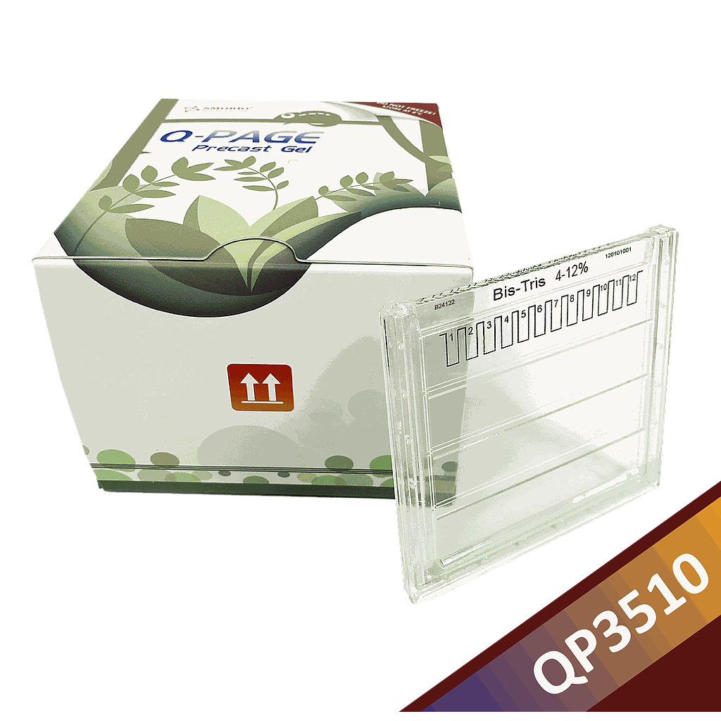 [QP3510] Q-PAGE™ Bis-Tris預鑄膠(中型, 12孔, 4-12%), 10片