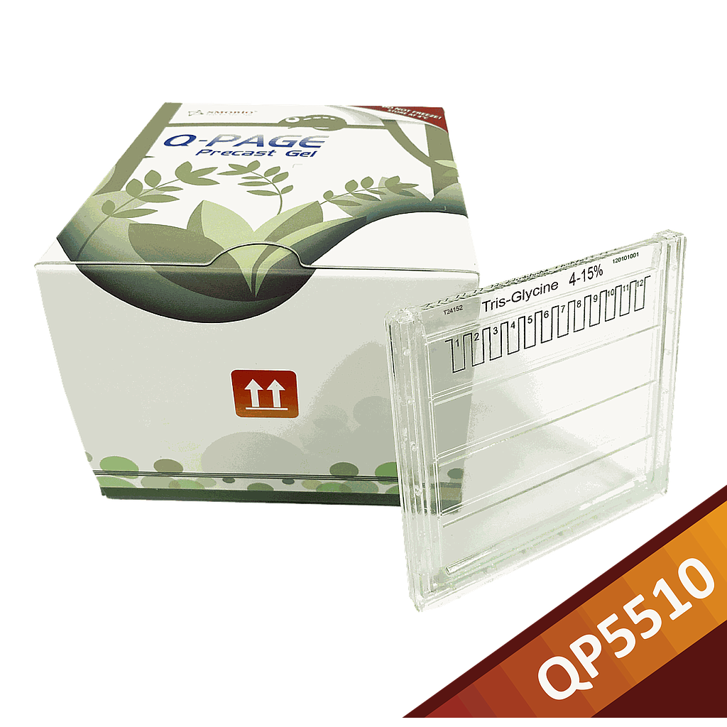 [QP5510] Q-PAGE™ TGN預鑄膠(中型, 12孔, 4-15%), 10片